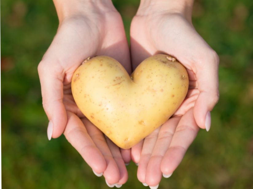Develop a healing writing practice that reconnects to your whole self.